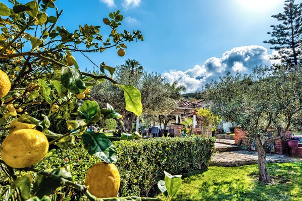 A garden with lemon trees, a gazebo, and a brick building. - Villa Bency (Capo d'Orlando)