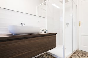 Shower, hair dryer, bidet, towels