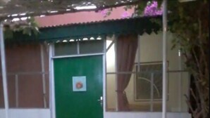 Una puerta verde con un pequeño escalón que la precede, rodeada de grava y plantas en macetas.