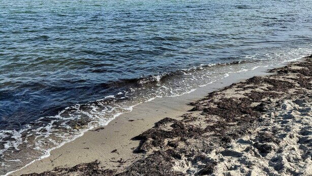 A beach with waves gently lapping at the shore, clear skies, and a calm sea. - 5 Star Holiday Home in Idestrup (Idestrup)