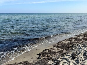 House | Beach