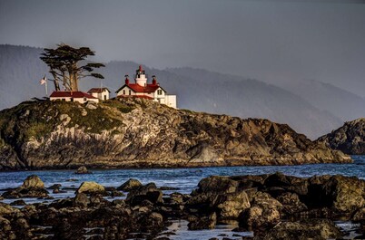 Redwoods Cul-De-Sac Beach Retreat: Playground, Gazebo, Trampoline, BBQ, Firepit, Bonfire Beach!