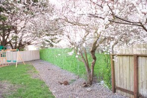 Àrea exterior de l'allotjament