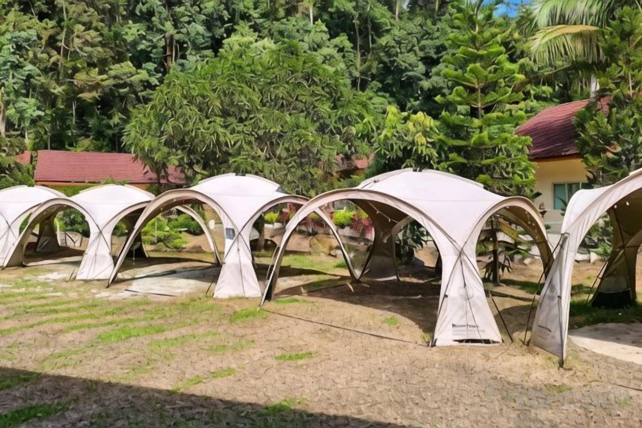 A row of white tents in an outdoor setting with a backdrop of trees and a building.