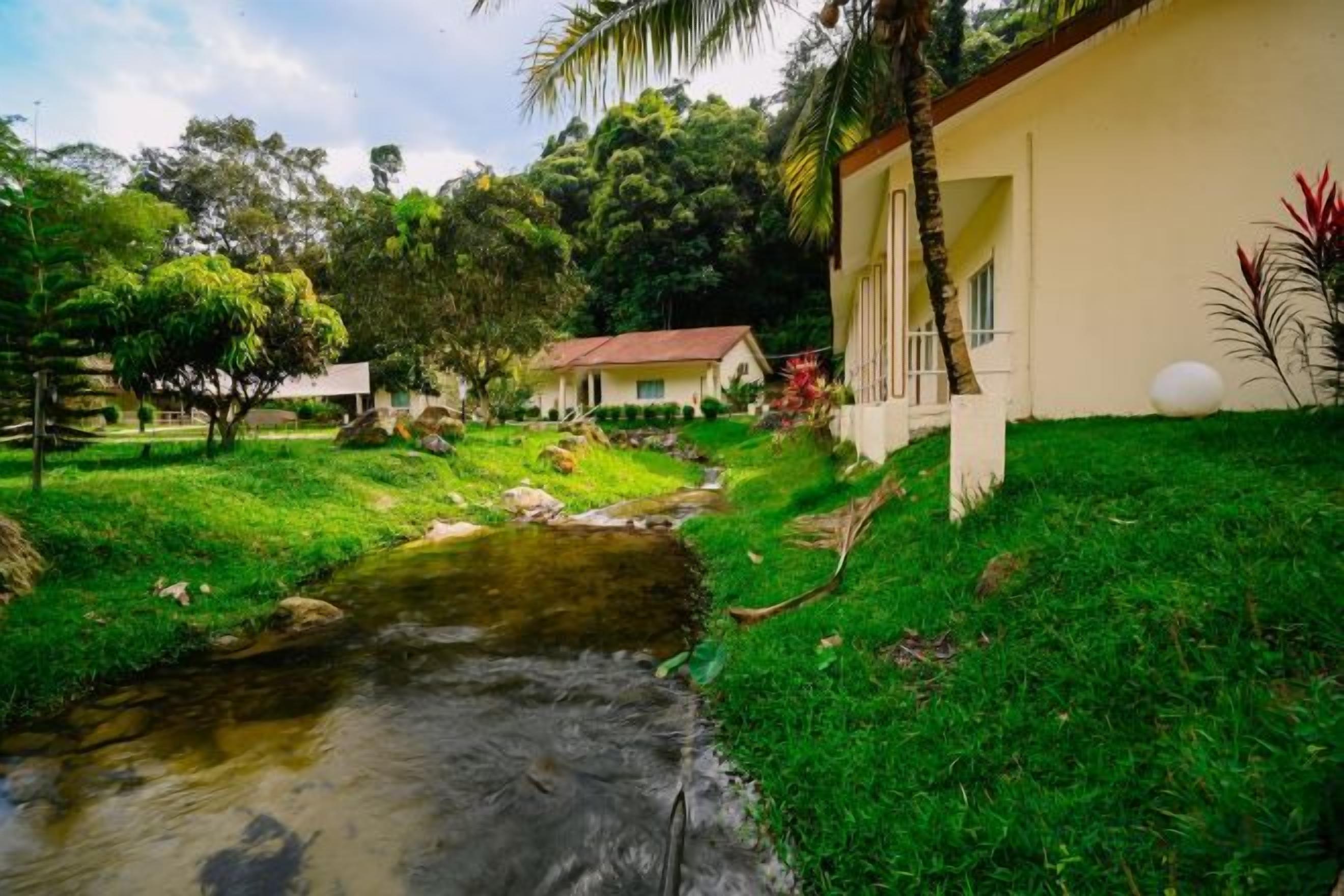A residential area with a small stream, a house with a red roof, and lush greenery.