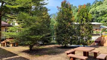 Un área de estar al aire libre con mesas de picnic y un pequeño árbol.