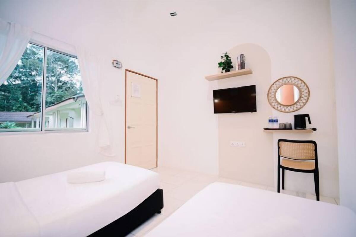 A bedroom with two beds, a TV, a mirror, and a chair.