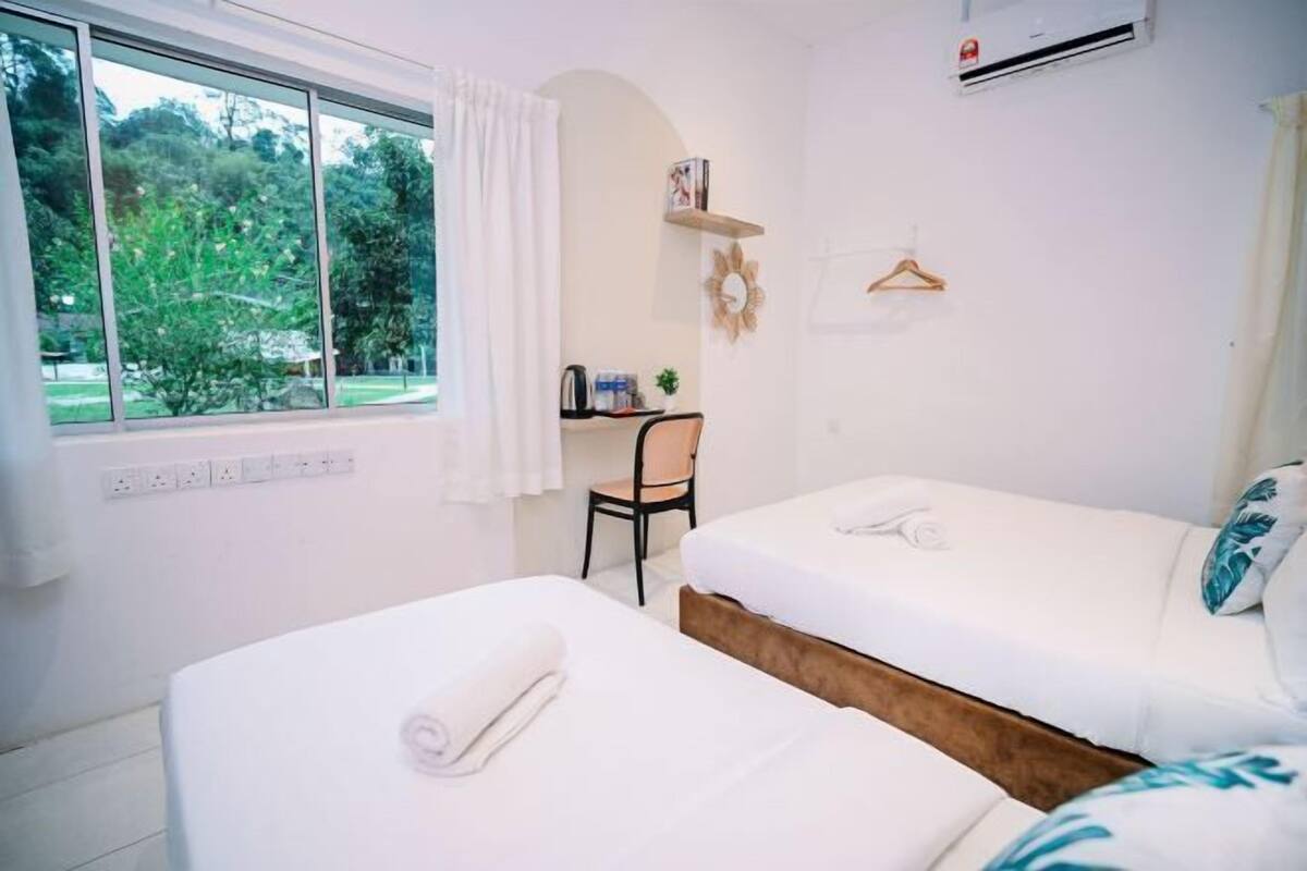 A bedroom with two beds, a chair, a shelf with books and a plant, and a window with a view of trees.