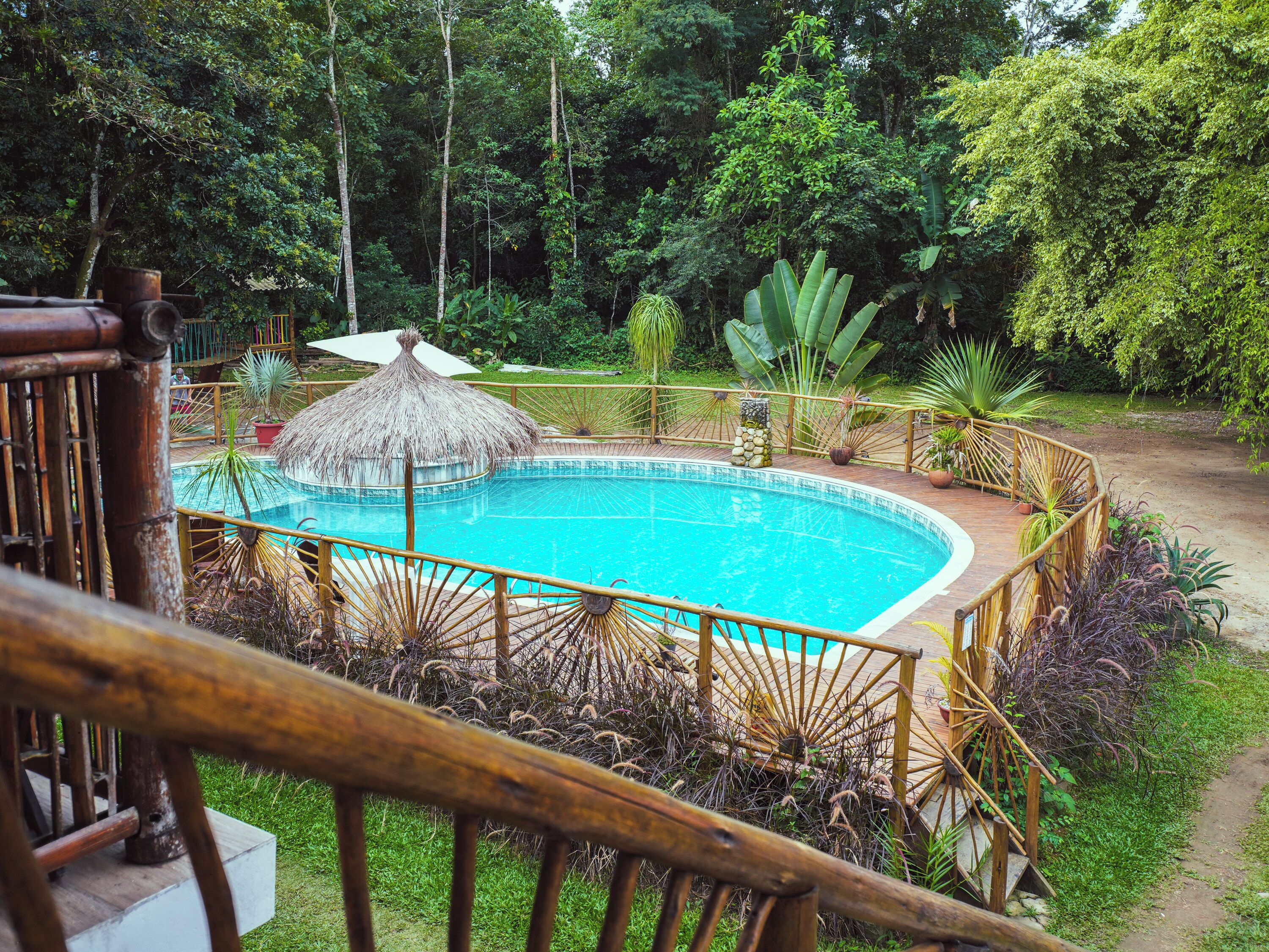 Une piscine entourée d’une végétation luxuriante et bordée d’une structure à toit de chaume.