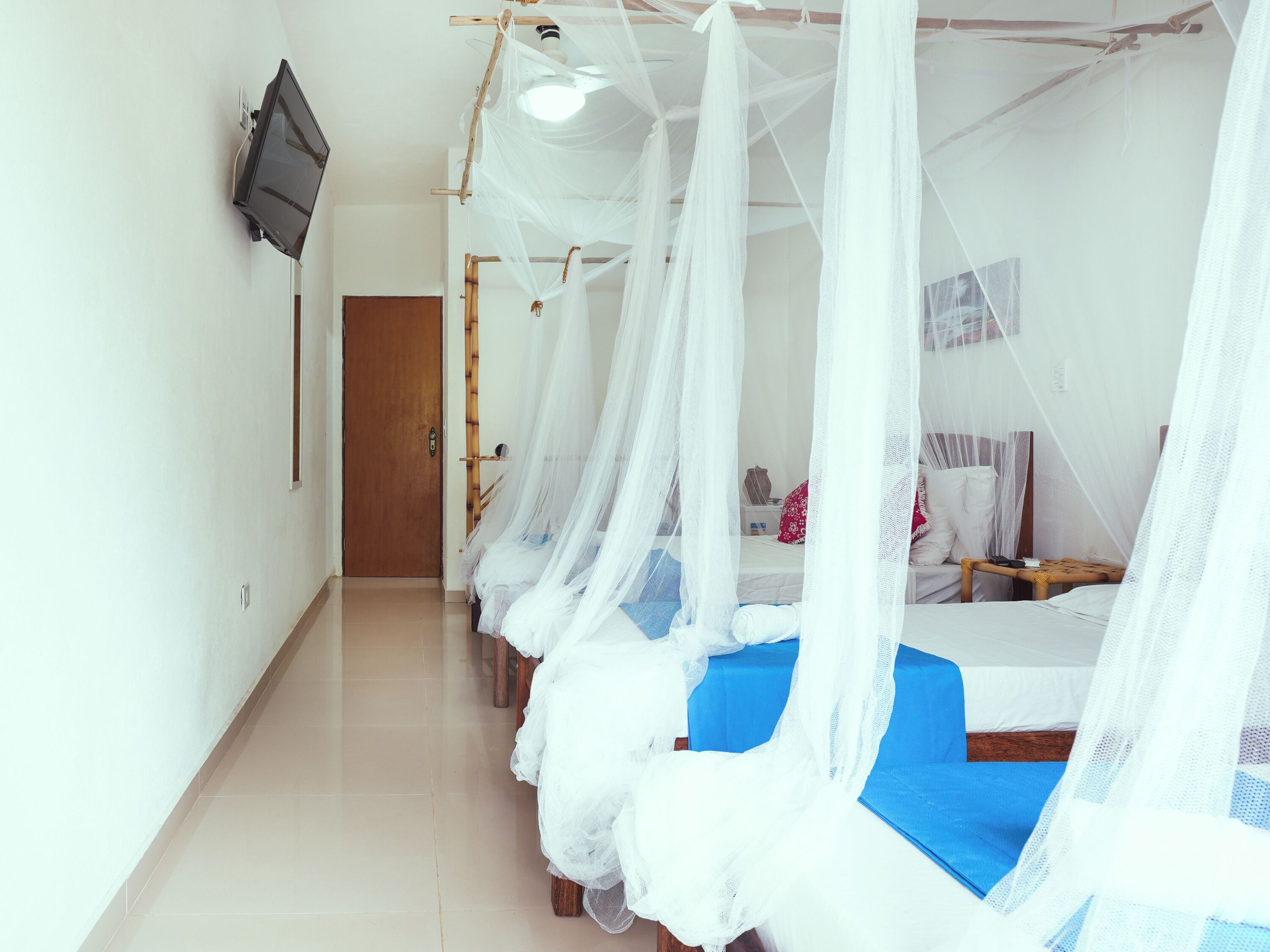 A hotel room with a bed under a white canopy, a television mounted on the wall, and a wooden door.