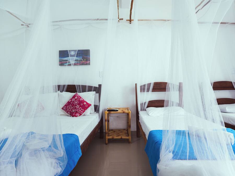 Een kamer met twee bedden, elk met een hemelbed, een klein nachtkastje en een aan de muur bevestigd schilderij.