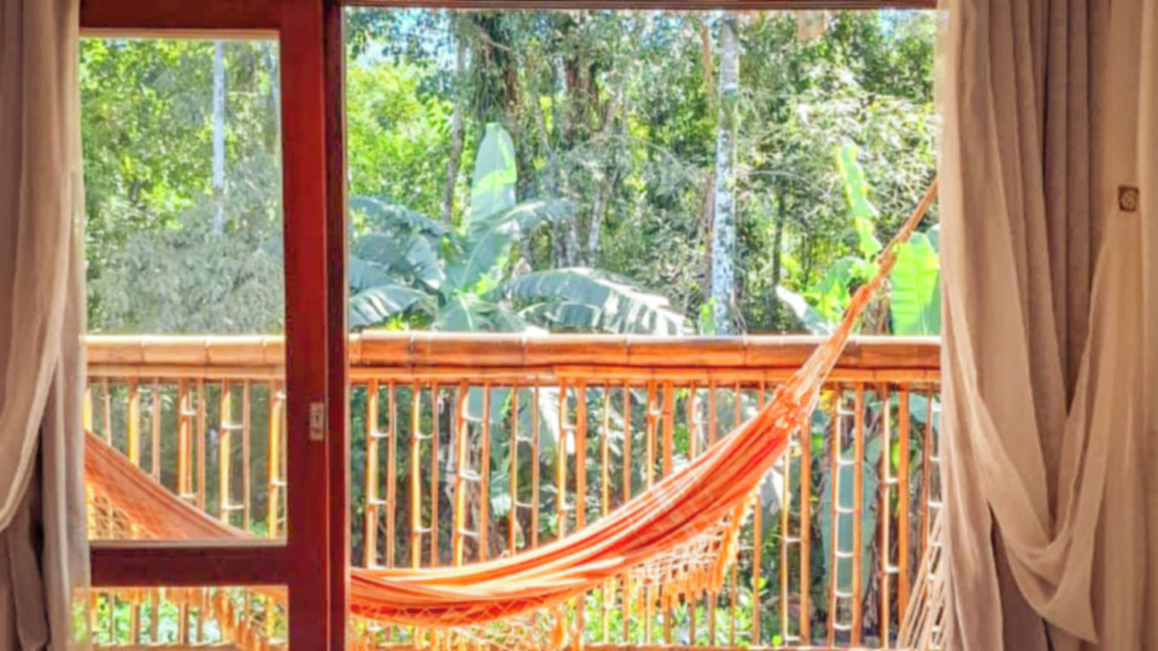 A hammock on a wooden deck with a view of a tropical forest.