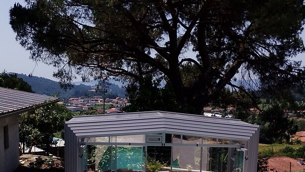 A swimming pool with a glass enclosure, two lounge chairs, and a large tree in the background. - Accommodation in house with shared pool, 10mn from Braga. Weekly rental (BRAGA)