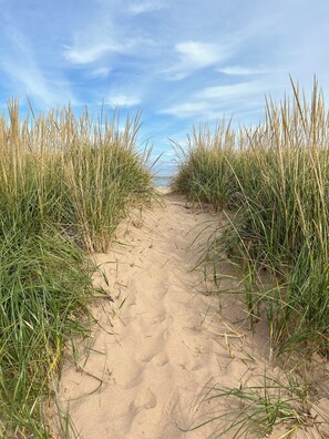 Plage, chaises longues, serviettes de plage