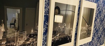 Spacious 2BR w/ Fenced Yard, Office & Fast Wi-Fi, Downtown STL