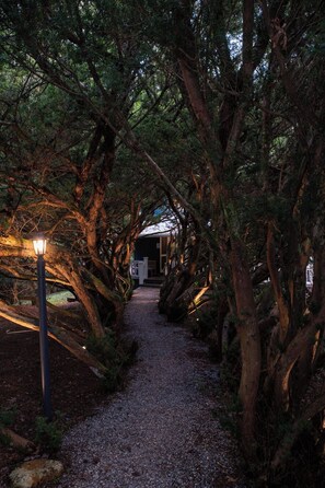 Property grounds - Historic cabin on 14 acres in the mountains of western NC, Wi-Fi & W-D (Burnsville)