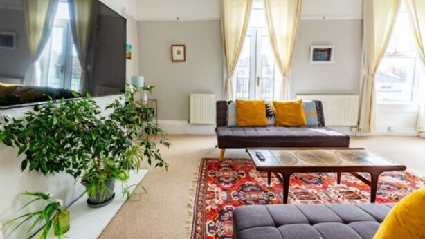 A living room with a sofa, a coffee table, and a TV. There are plants and curtains.