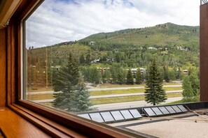 Interior - Lionshead Village W/Pool, Walk To Vail Gondola (Vail)