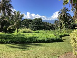 Property grounds - Beautiful, Upscale Ground Floor Condo - Plenty of Space & Great Location! (Princeville)