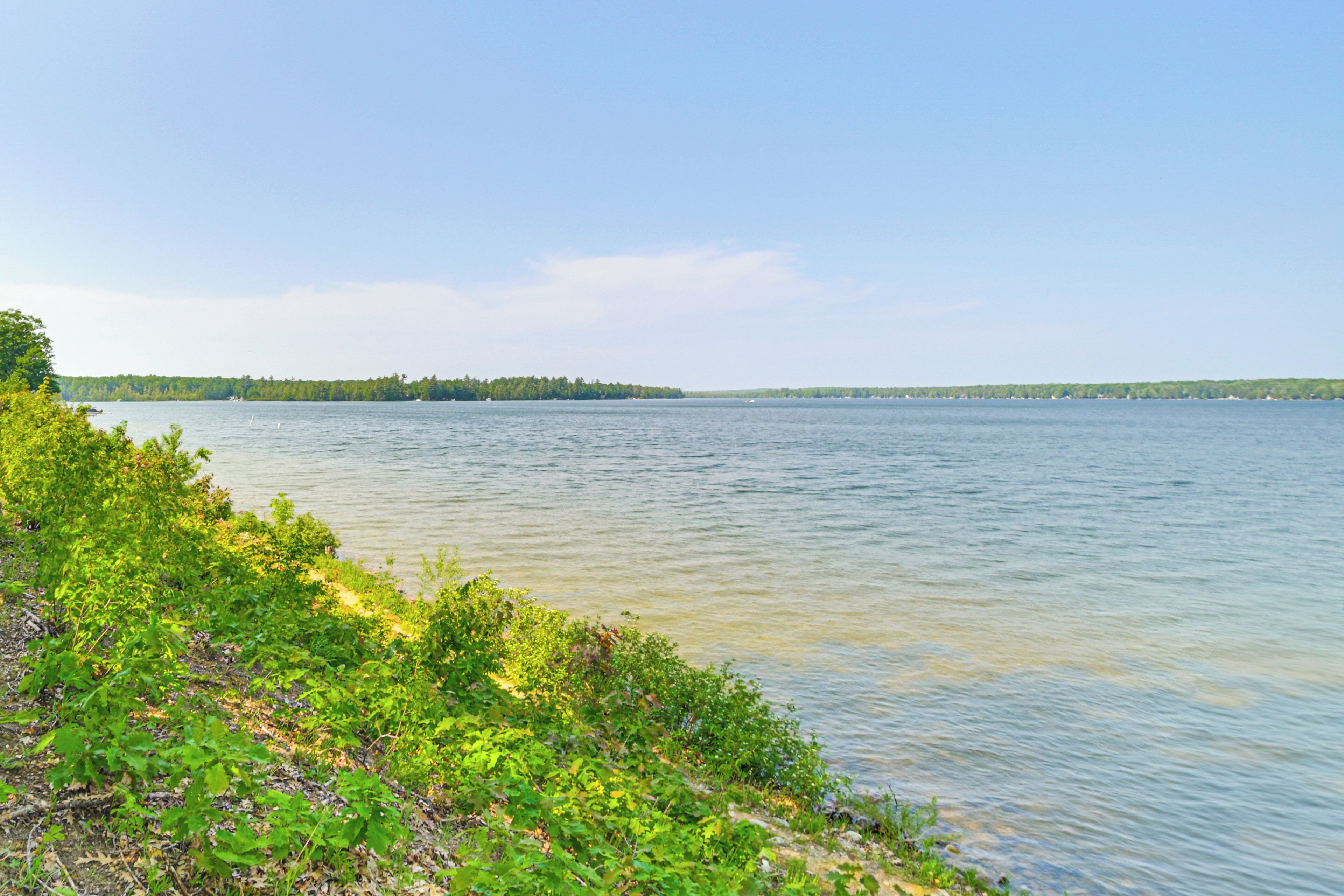 A lakeside view with clear water, greenery, and distant trees.