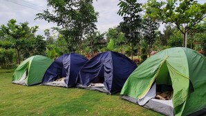 Une rangée de tentes est installée dans une zone herbeuse, avec des arbres en arrière-plan.
