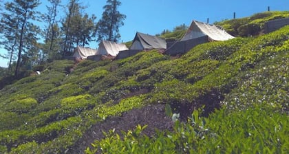 Room in B&B - Swiss Tents in Ooty, Tn