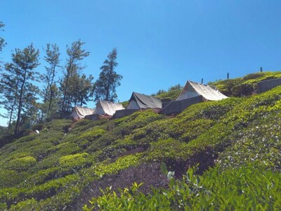 Room in B&B - Swiss Tents in Ooty, Tn