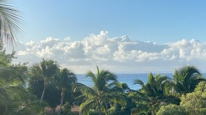 A tropical beach with palm trees and a view of the ocean. - Studio "ti kaz an nou" sea view * feet in the water - very quiet place (Sainte-Anne)