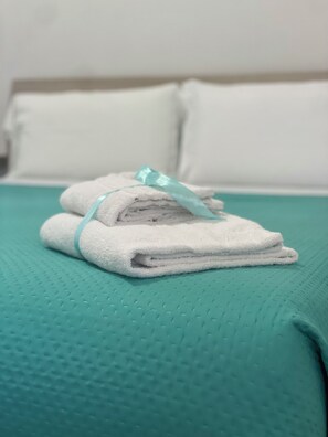 Chambre classique double, vue sur le jardin | Rideaux d’obscurcissement, accès au Wi-Fi (inclus)