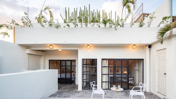 A modern hotel with a courtyard, white walls, and a cactus garden. - Casa Lumos - Minimalist Comfort Suites in Centro Historico (Oaxaca de Juárez)