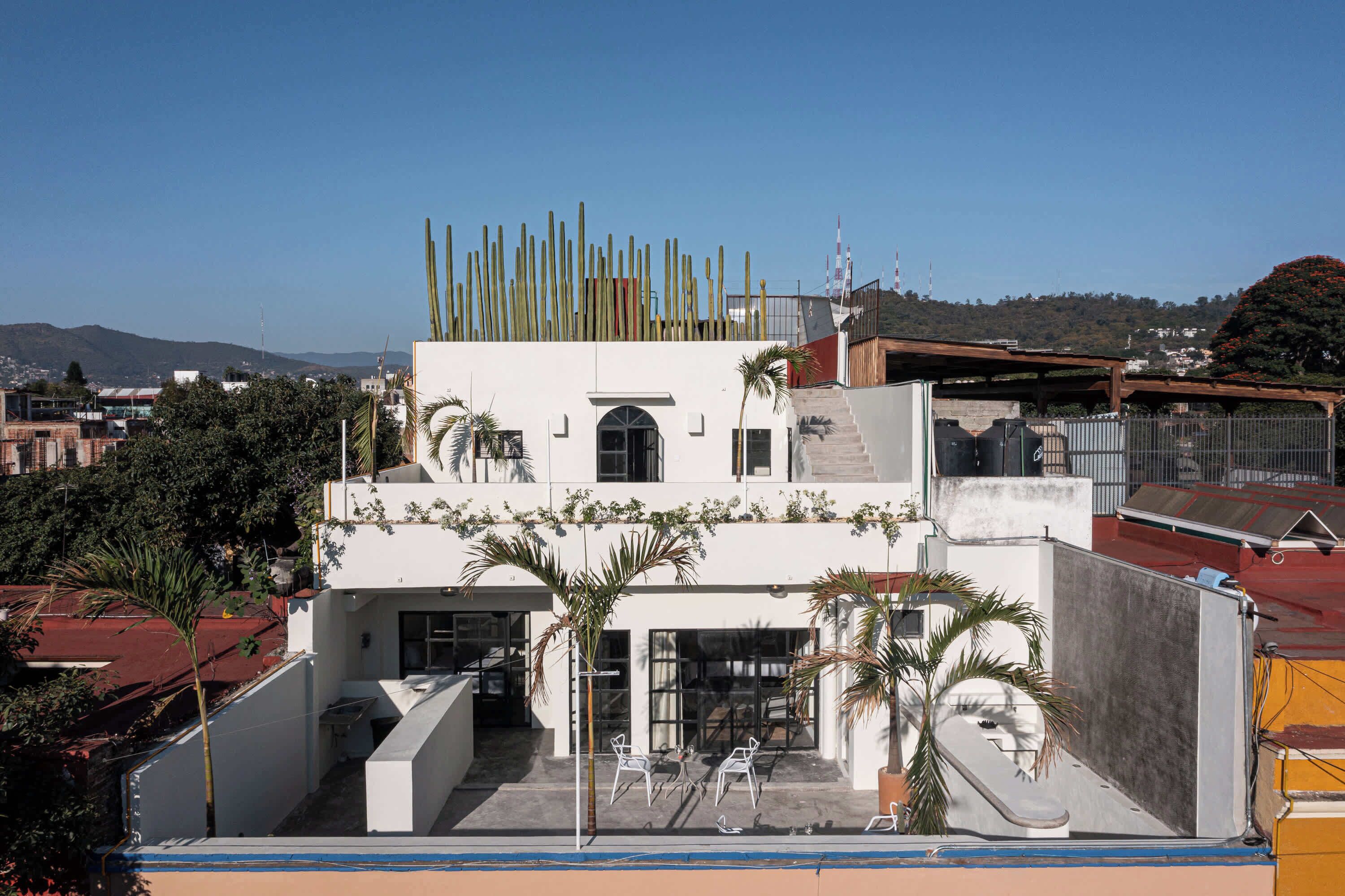 A modern building with a flat roof, a covered patio area with chairs, and a row of tall cacti on the roof.