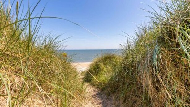 A sandy path leading to a beach with tall grass on either side. - Host Stay Breezy Bungalow (North Walsham)