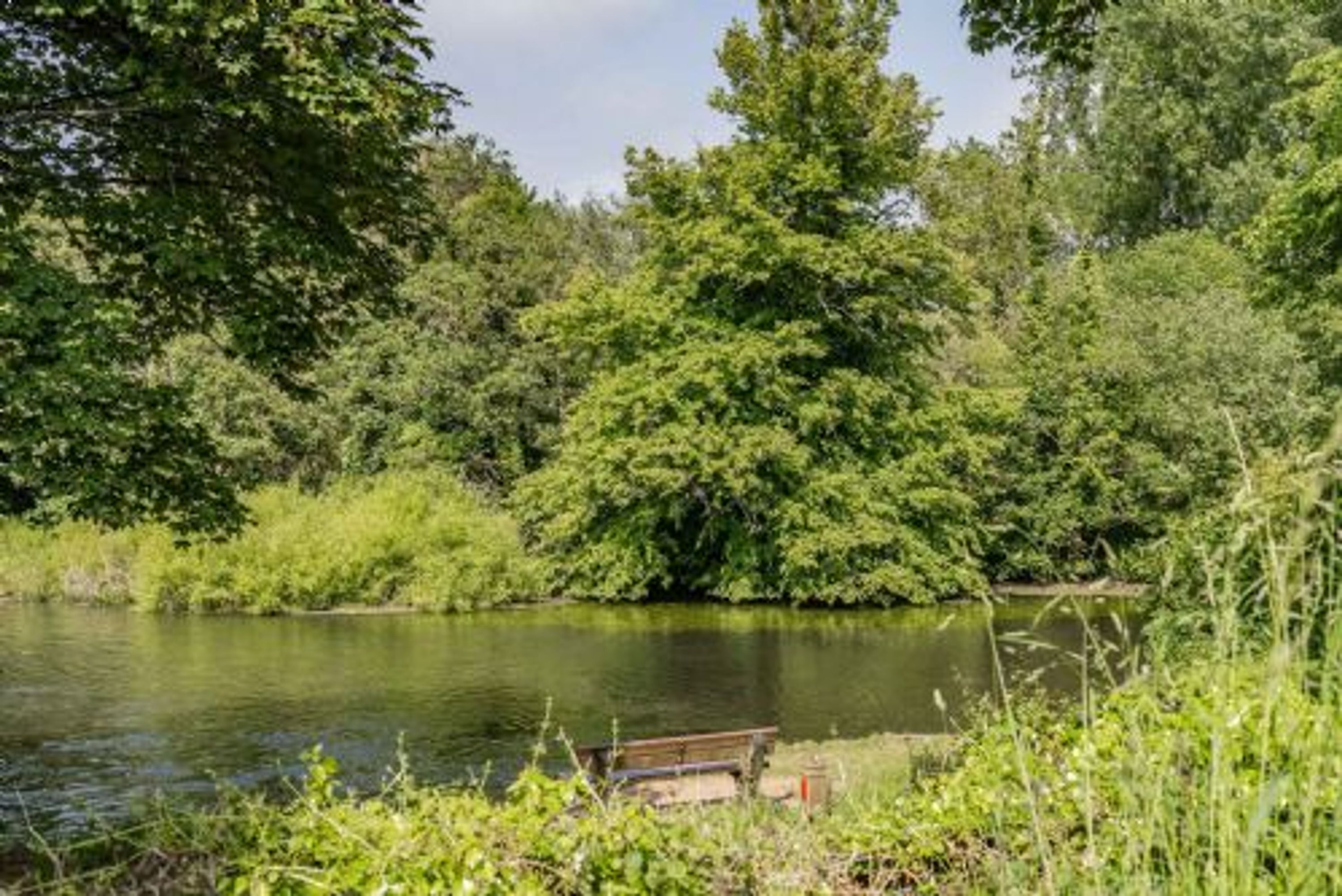 A serene riverside setting with a wooden bench by the water, surrounded by lush greenery.