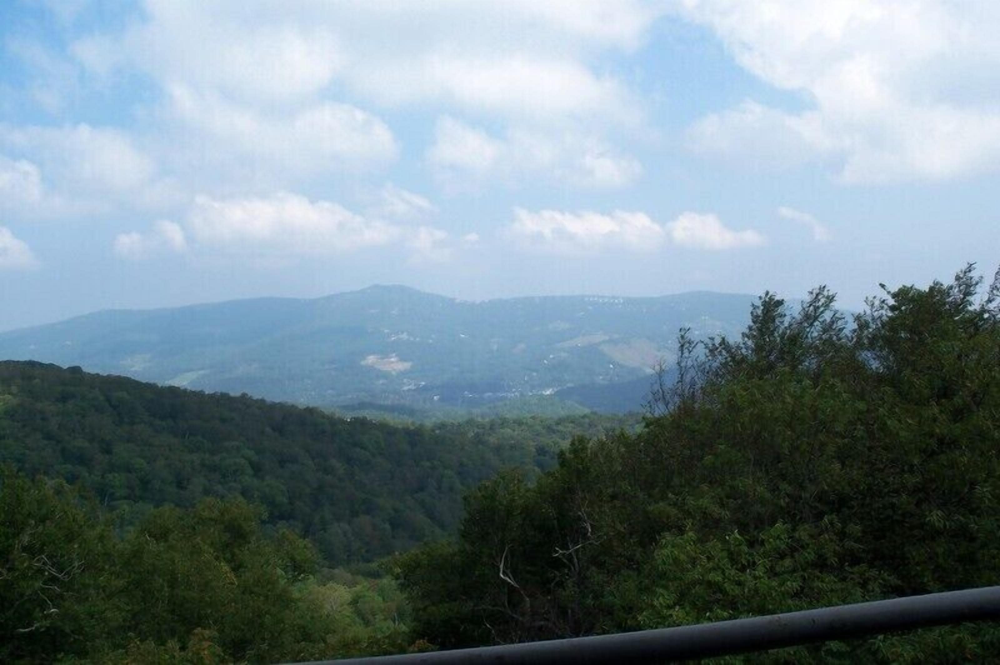 Summer View