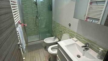 Hair dryer, bidet, towels, toilet paper