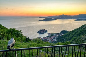 Vista desde la propiedad