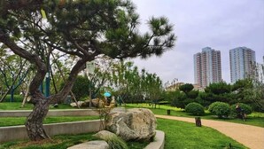 A park with a large tree, a pathway, and a view of tall buildings in the background. - Qin Mengli Hotel (Xianyang)