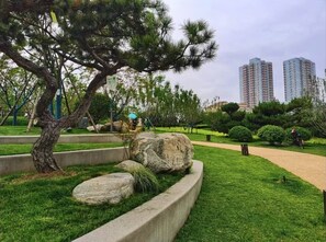 Comfort Double Room, City View | Garden view