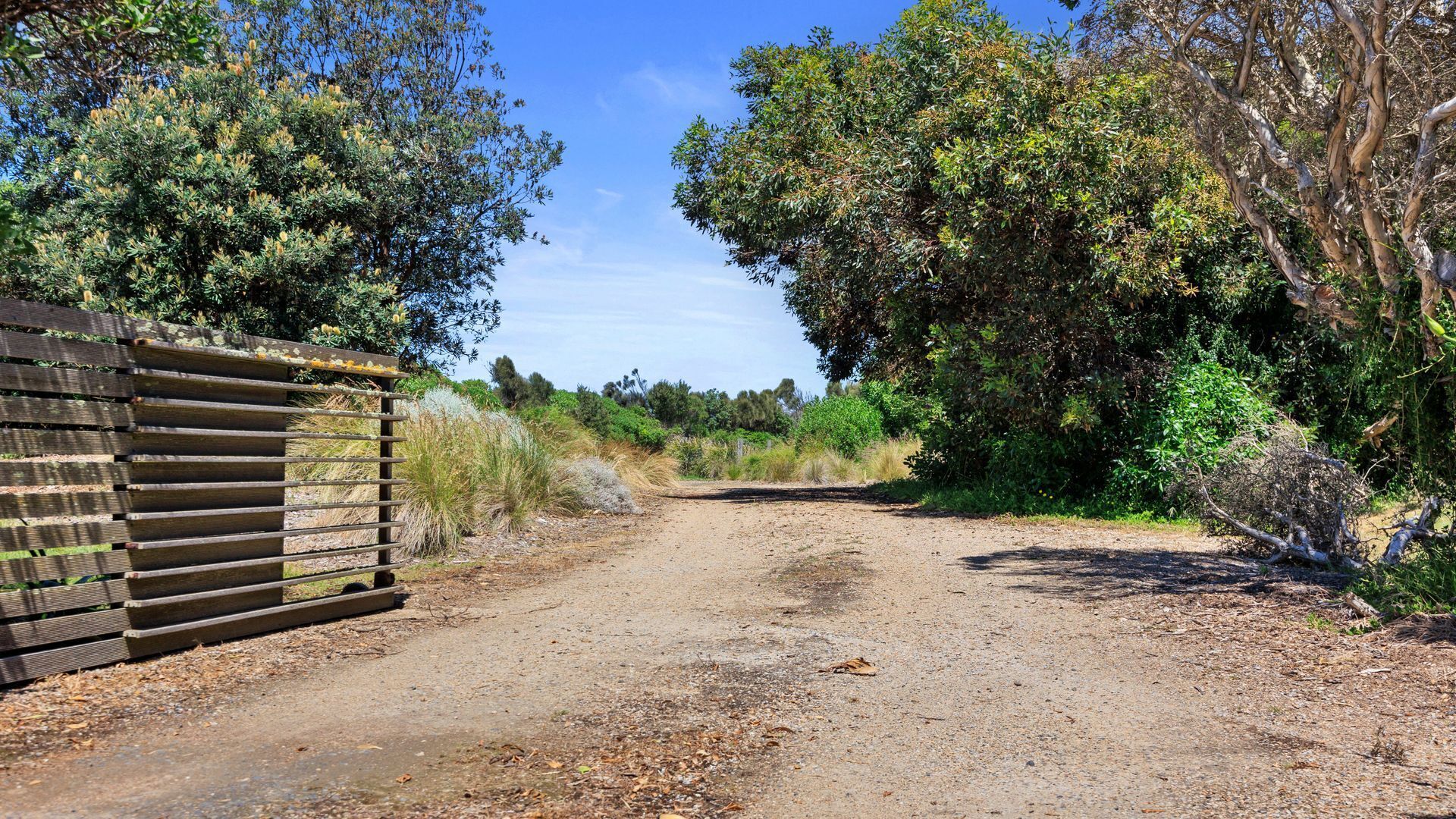 A dirt road leading through a natural area with dense vegetation and a wooden fence on the left.