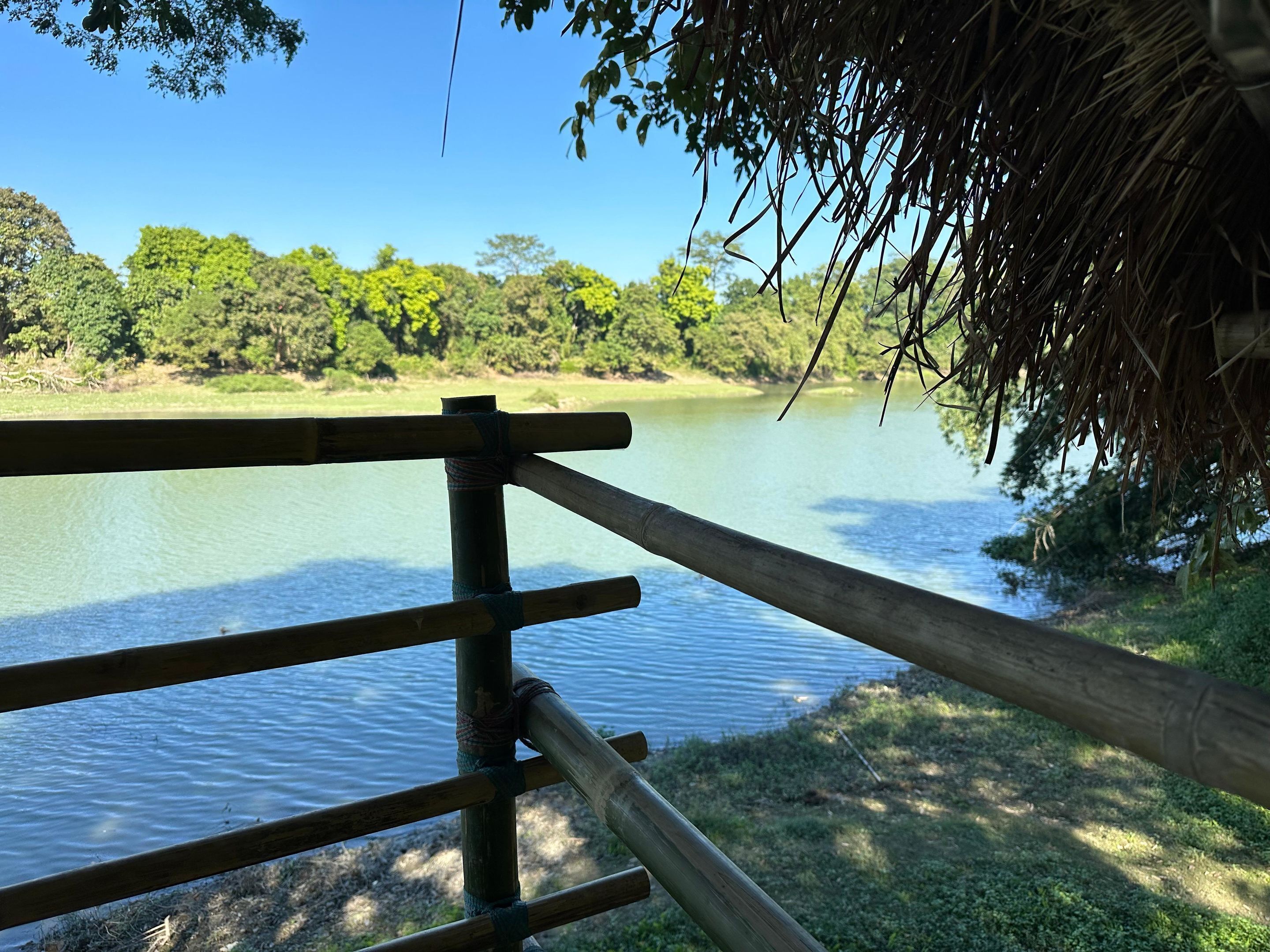 Barandilla de madera con vistas a un río tranquilo y abundante vegetación al fondo.