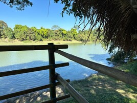 Barandilla de madera con vistas a un río tranquilo y abundante vegetación al fondo.