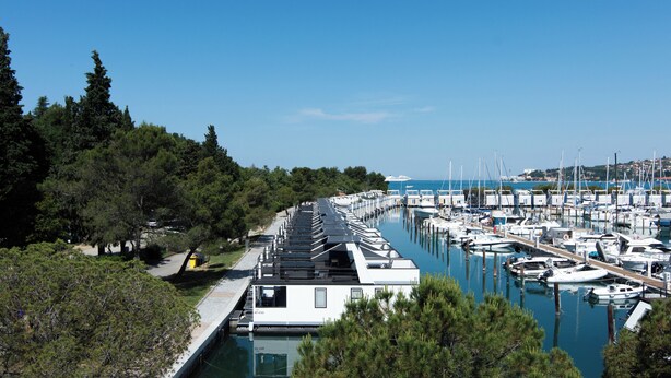 Un port de plaisance avec des bateaux amarrés le long d’une jetée, entouré d’arbres et sous un ciel dégagé.