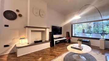 Smart TV, fireplace, books, stereo