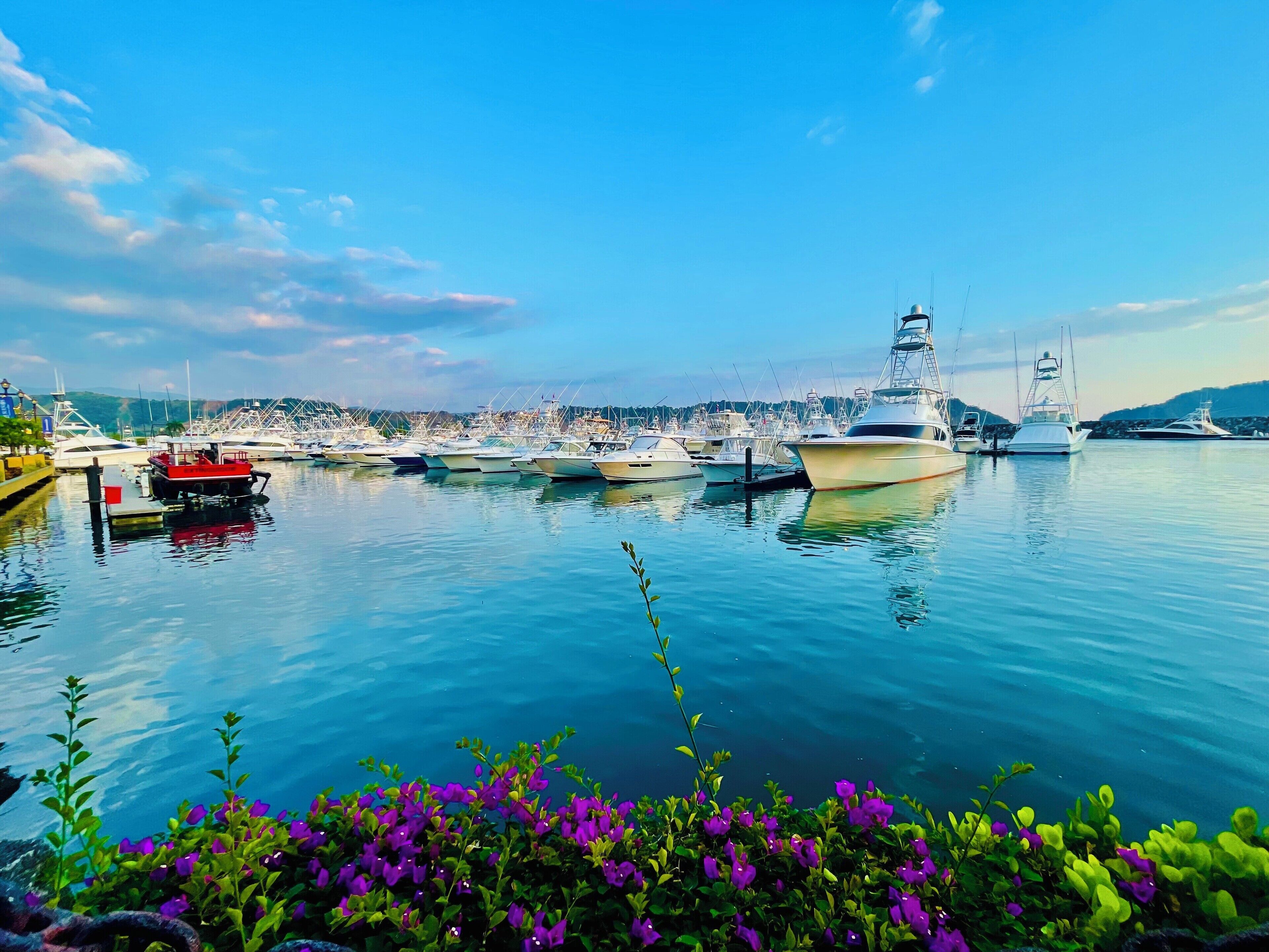 Marina