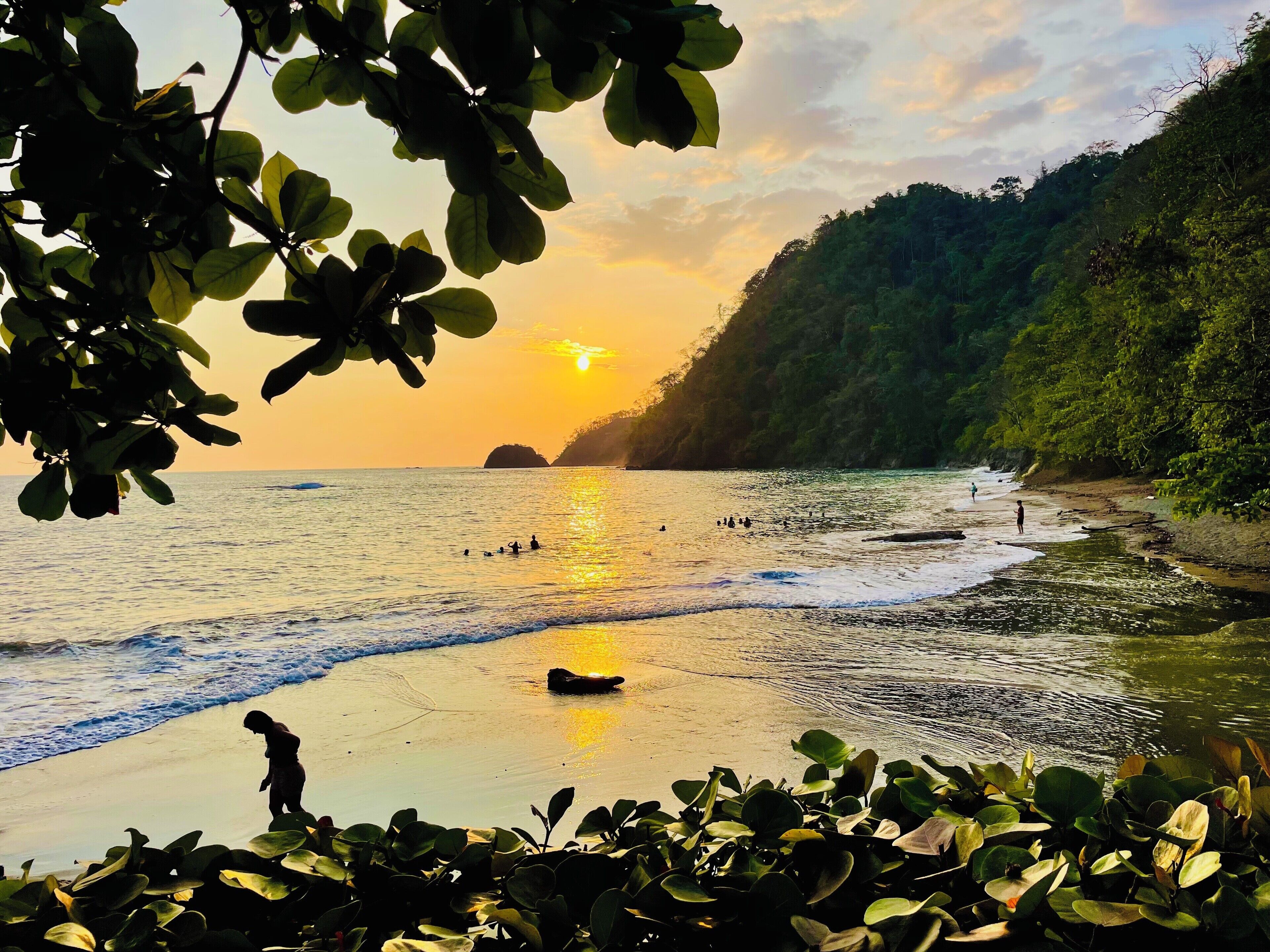 Plage, chaises longues, serviettes de plage