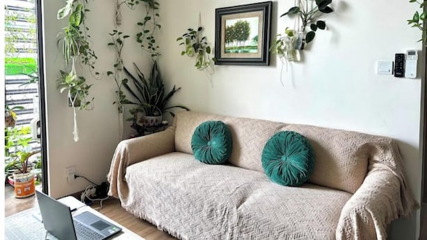 A cozy living room with a beige sofa, teal cushions, and various hanging plants.