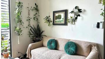 Smart TV, fireplace, video games, books