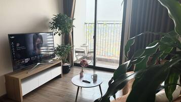 Smart TV, fireplace, video library