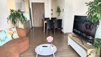 Smart TV, fireplace, video library