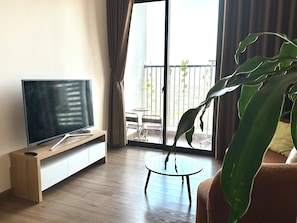 Smart TV, fireplace, video library